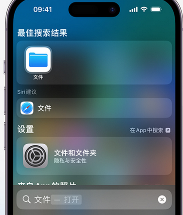 武威apple维修中心分享iPhone文件应用中存储和找到下载文件 