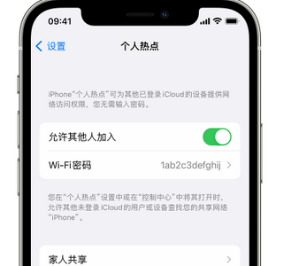 武威apple服务站点分享iPhone上个人热点丢失了怎么办