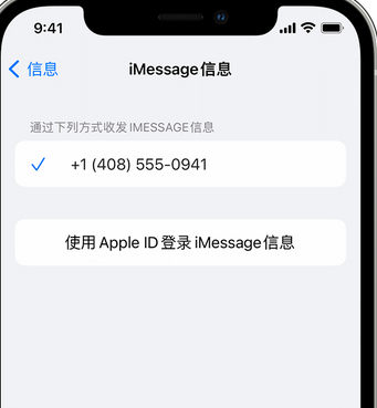 武威apple维修iPhone上无法正常发送iMessage信息 