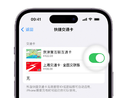 武威apple维修点分享iPhone上更换Apple Pay快捷交通卡手绘卡面 