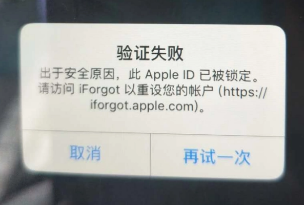 武威iPhone维修分享iPhone上正常登录或使用AppleID怎么办 