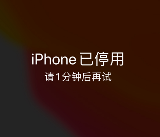 武威苹果手机维修分享:iPhone 显示“不可用”或“已停用”怎么办？还能保留数据吗？ 