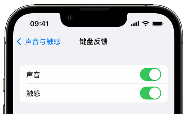 武威苹果手机维修分享iPhone 14触感键盘使用方法 