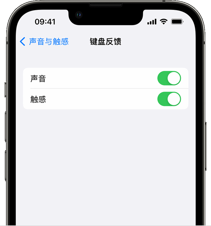 武威苹果14维修店分享如何在 iPhone 14 机型中使用触感键盘 