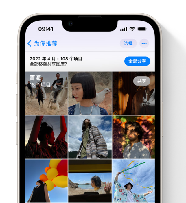 武威苹果维修网点分享在 iPhone 上使用共享图库 