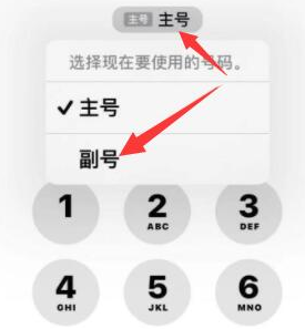 武威苹果14维修店分享iPhone 14 Pro Max使用副卡打电话的方法 