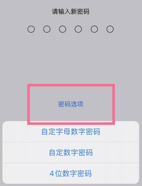 武威苹果14维修分享iPhone 14plus设置密码的方法 