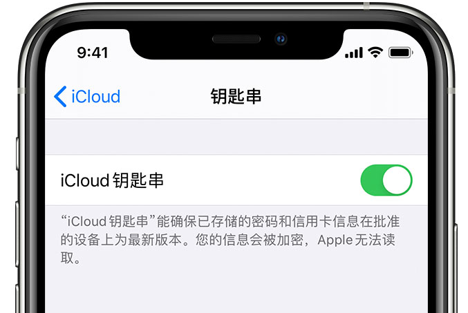 武威苹果手机维修分享在 iPhone 上开启 iCloud 钥匙串之后会储存哪些信息 