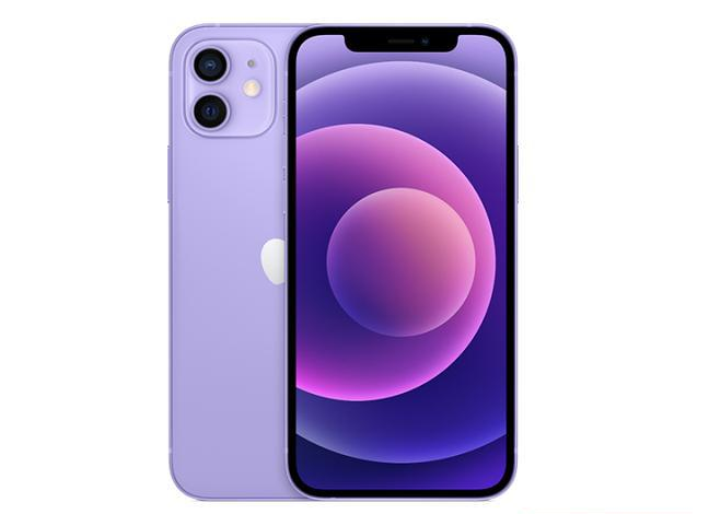 武威苹果手机维修分享现阶段要不要入手紫色版iPhone12 
