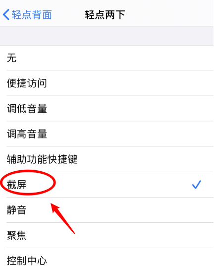 武威苹果手机维修分享iPhone12如何启用双击截屏 