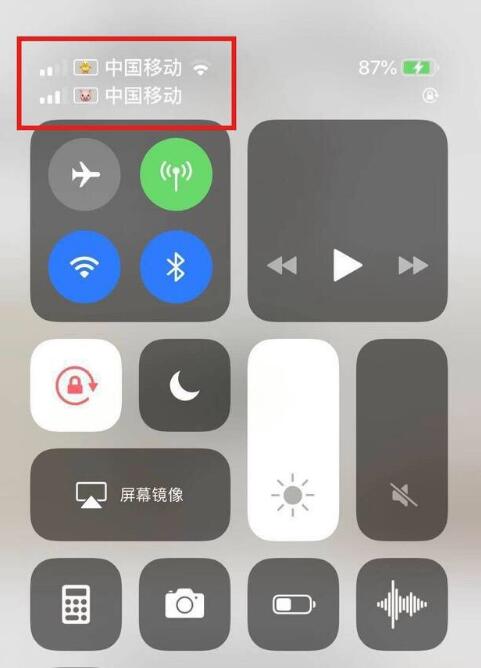武威苹果手机维修分享为 iPhone 12 双卡设置标签 